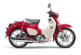 ホンダドリーム稲葉でスーパーカブC125(~2023年2月モデル)をレンタル