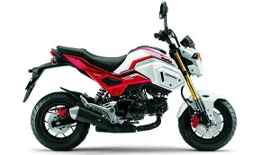 Shop Giang Test Test Test  Test TestTestTestTestでグロムをレンタル