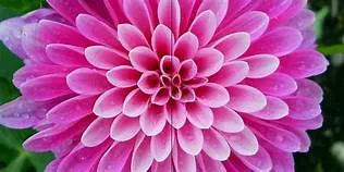 Shop Giang Test Test Test  Test TestTestTestTestの写真